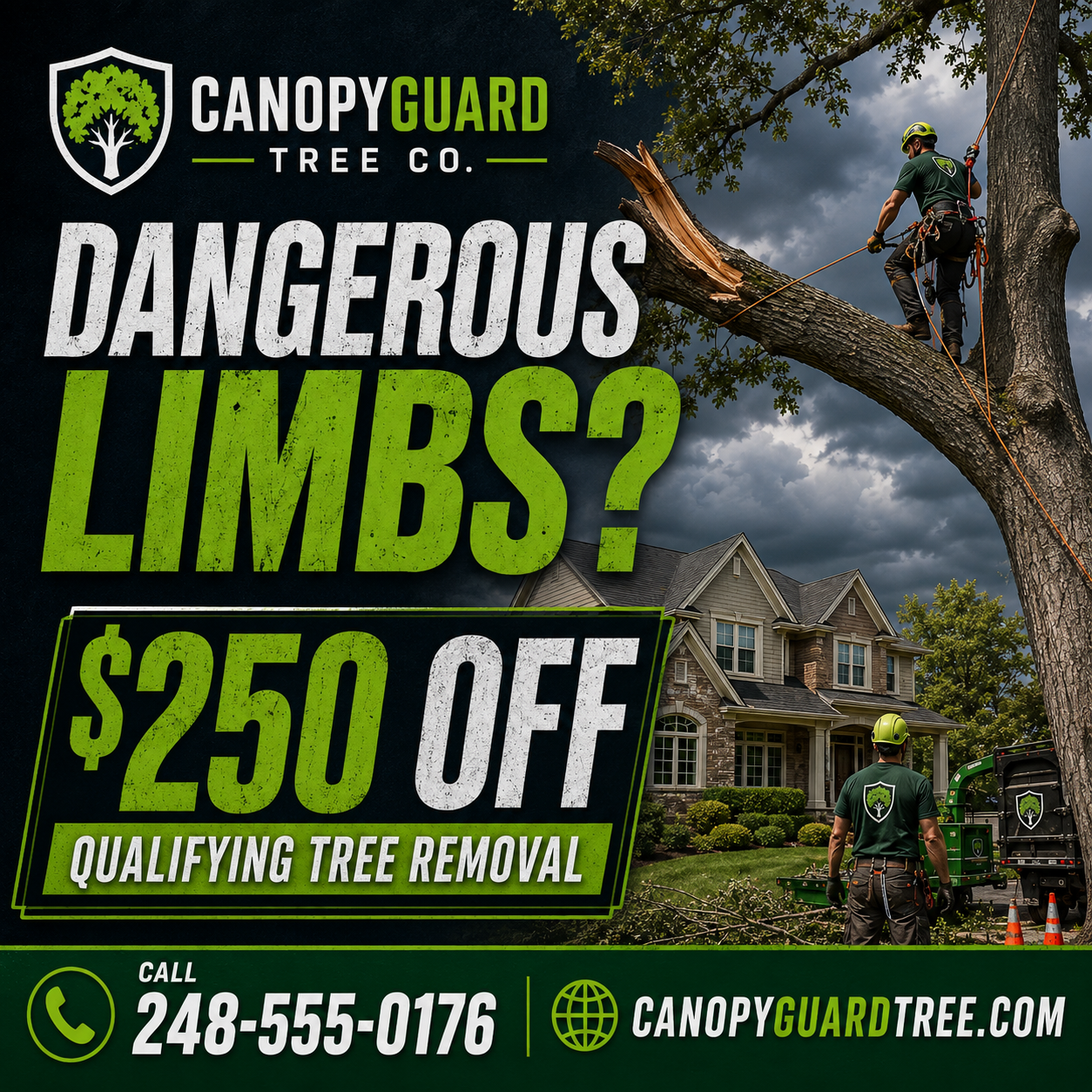 Michigan tree service Facebook advertising example promoting $250 off qualifying tree removal